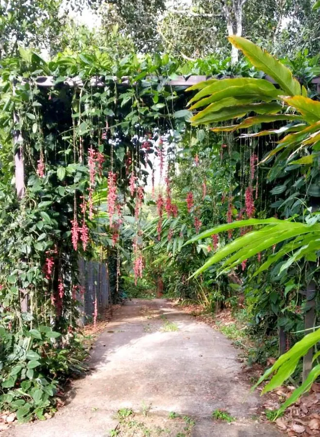 别墅 蒙纳Himmelberg Nature Retreat别墅 印度