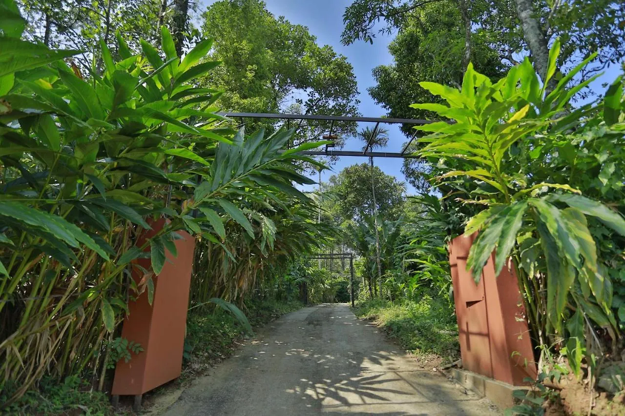 别墅 蒙纳Himmelberg Nature Retreat别墅 印度